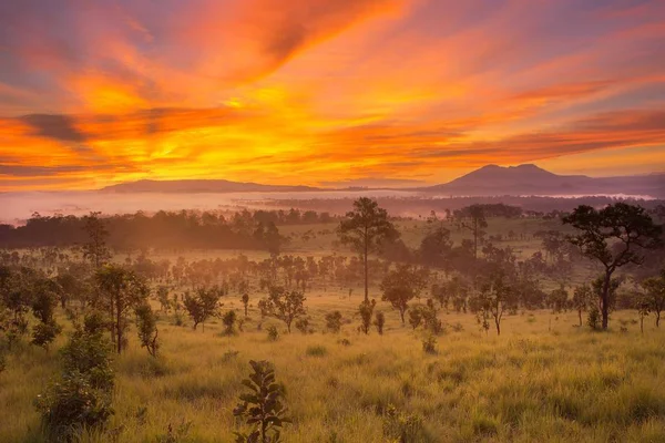 Wunderschöner Sonnenaufgang im Thung Salaeng Luang Nationalpark — Stockfoto