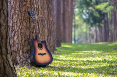 Chiang Mai, Tayland, Thailand, akustik gitar