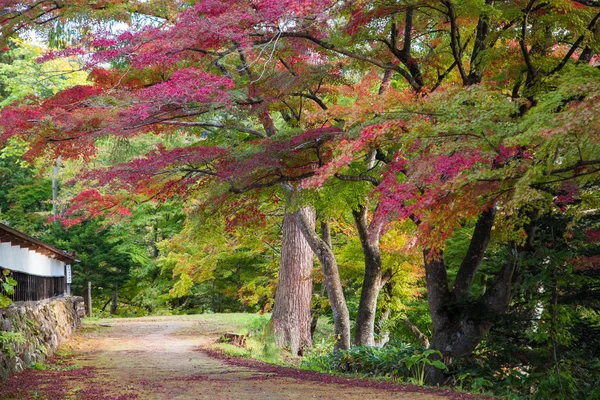 Enkoji tempel in Japan — Stockfoto