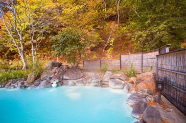 The Hot Springs (onsen) at Japan clipart