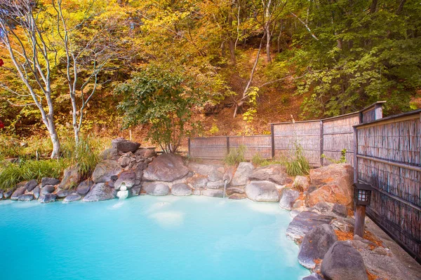 Japonya Hot Springs (onsen)
