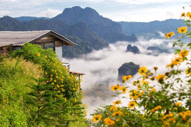 Küçük ev Phu Langka Milli Parkı 