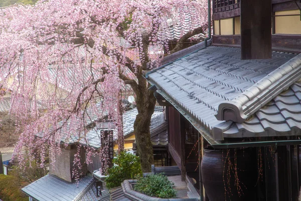 Sakura op beroemde straat, Sannen-Zaka, in Kyoto — Stockfoto