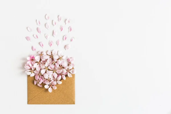 Envelope de papel artesanal aberto cheio de flores sacura flor de primavera no fundo branco . — Fotografia de Stock