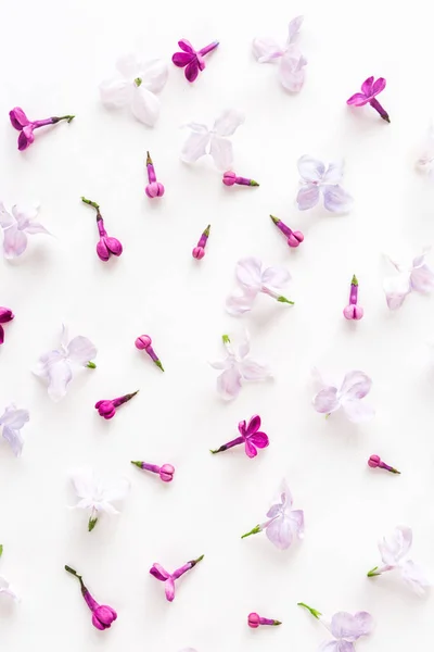 白色背景充满了丁香紫色春天的花朵。平躺。顶视图. — 图库照片