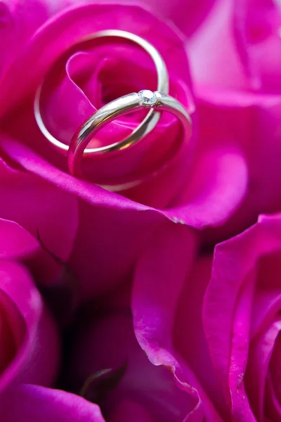 Anillos de oro en pétalos de rosas violetas. Anillos de boda sobre fondo púrpura. Fondo de amor . — Foto de Stock