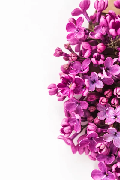 Белый фон наполовину заполнен красивыми пирпурными сиреневыми цветами. Концепция любви, предложения, поздравления и весны . — стоковое фото