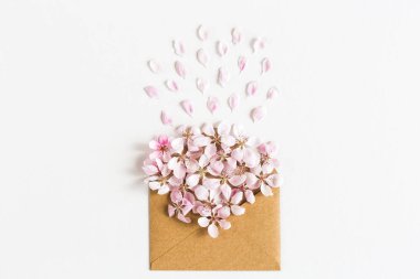 Craft kağıt zarf bahar çiçeği sakura çiçekleri beyaz zemin üzerine dolu açıldı. Üstten Görünüm. aşk kavramı. Sevgililer günün kutlu olsun. Bayan gün. 8 Mart. Anneler günü.