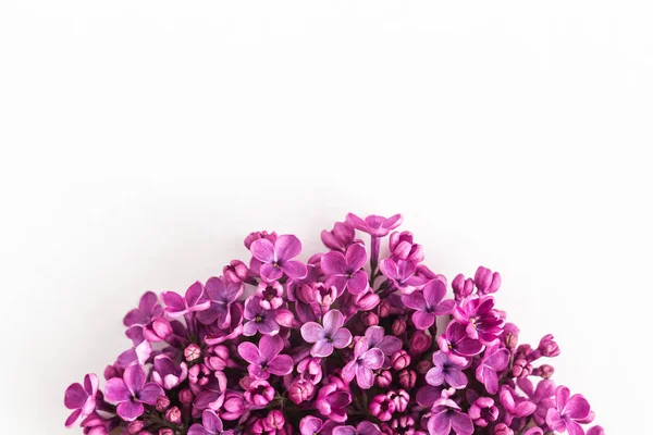 Fundo branco meio preenchido com close up belas flores de pirple lilás. vista superior. Deitado. Conceito de amor, proposta, parabéns e primavera . — Fotografia de Stock