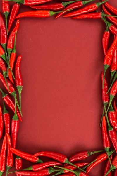 El pimiento rojo picante frío, que son puestos por el marco sobre el fondo rojo. el concepto de la comida picante: el condimento de pimentón y los pimientos rojos picantes. vista superior, plano . — Foto de Stock