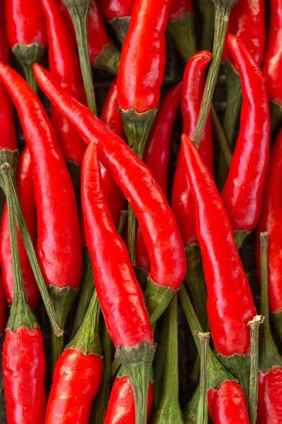 A lot of red hot chilly peppers as background. a concept hot spice for food. top view, flat lay. Concept red food, red background.