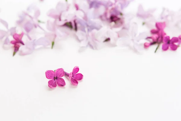 Separate blossoming purple spring lilac flowers laying in the foreground on white background. Flat lay. Concept of freshness and beautifulness. DOF on lilac flower. — Stock Photo, Image