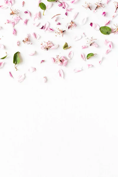 Weißer Hintergrund, halb gefüllt mit verblassten Sacura-Blüten und Blättern. Konzept von Liebe und Frühling. dof auf Sacura-Blüten. — Stockfoto