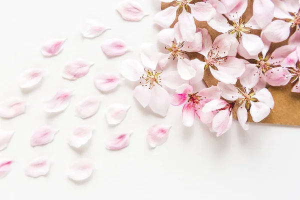 Primer plano de luz y pétalos suaves de sakura sobre fondo blanco. Concepto de amor. sensación de primavera . — Foto de Stock