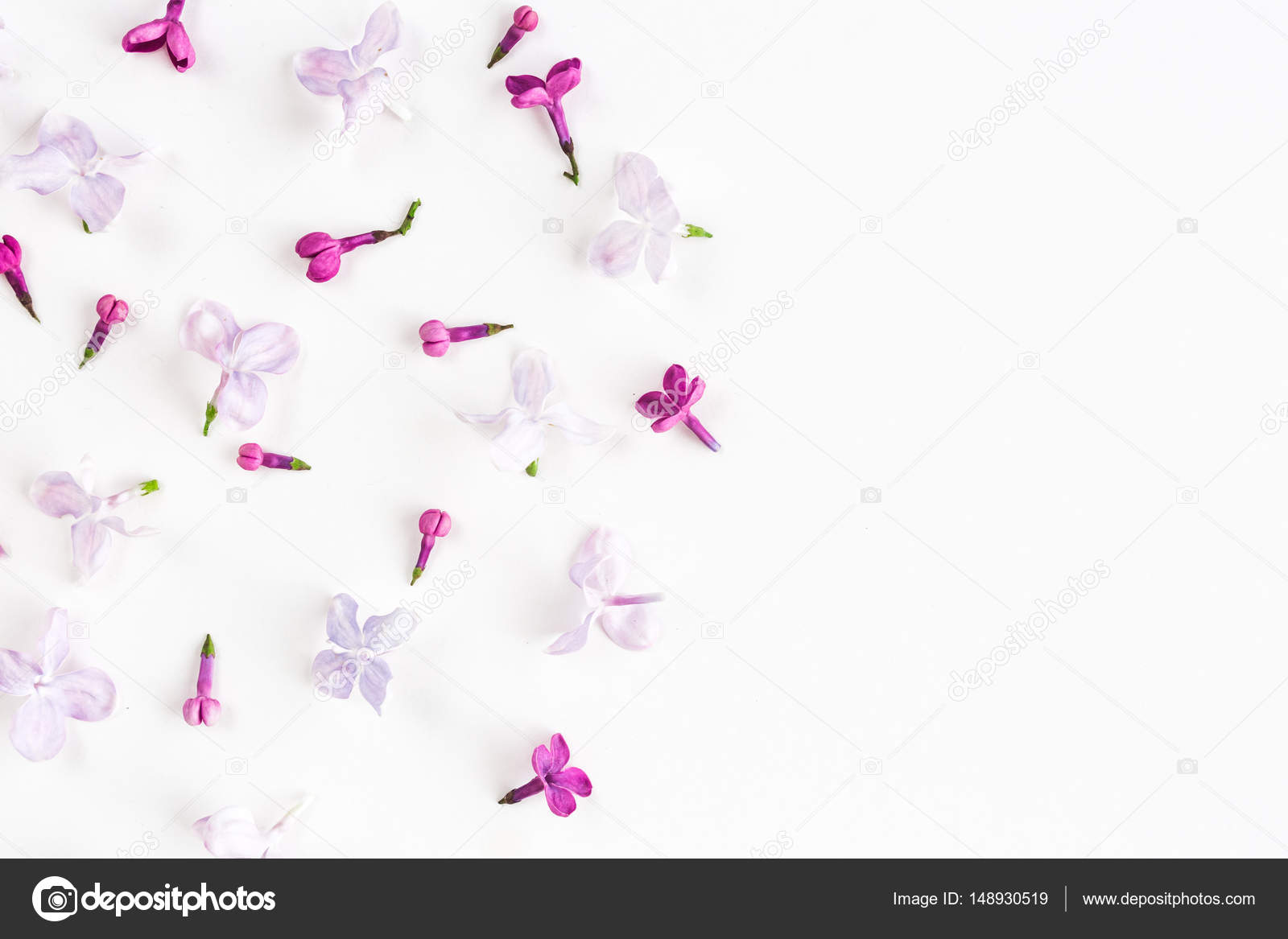 White background on a half filled with lilac flowers. Concept of freshness  and beautifulness. Flat lay. Top view. Stock Photo by ©melnikofd@  148930519