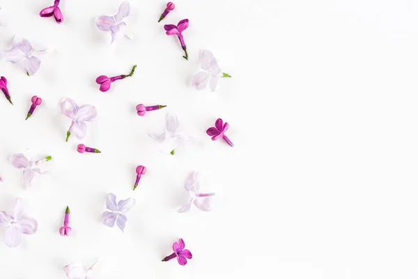 Weißer Hintergrund auf einer Hälfte gefüllt mit lila Blüten. Konzept von Frische und Schönheit. flach lag. Ansicht von oben. — Stockfoto