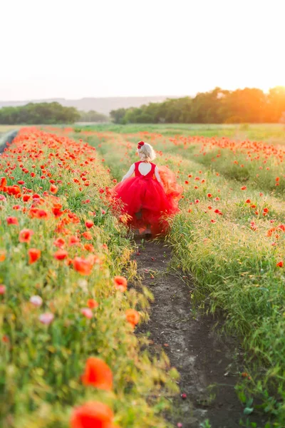 Papoilas, agricultura, produção e ecologia, natureza e conceito de verão - as camas de jardim com papoulas vermelhas florescendo menina correndo loira em vestido de férias vermelho, em seu cabelo as flores de papoilas . — Fotografia de Stock