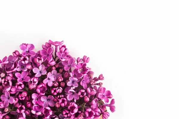 White background half filled with close up beautiful pirple lilac flowers. top view. flat lay. Concept of love, proposal, congratulation and spring. — Stock Photo, Image