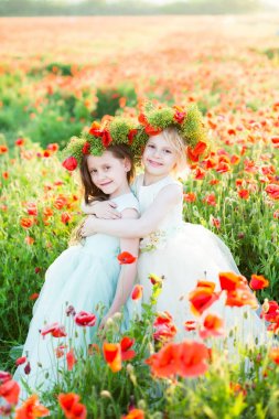 kız modeli, haşhaş, düğün, yaz moda kavramı - sarıldı şenlikli kıyafetlerle her diğer ve gülümseyerek çelenk dokuma çiçek haşhaş giymiş başları üzerinde haşhaş tarlası giyinmiş iki kız kardeş.