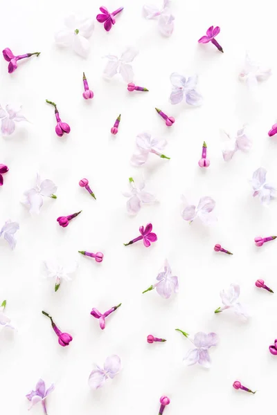 白色背景充满了丁香紫色春天的花朵。新鲜和美丽的概念。平躺。顶视图. — 图库照片