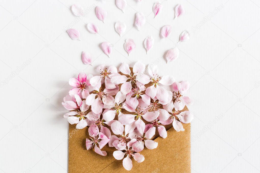 opened craft paper envelope full of spring blossom sacura flowers on white background. close up top view. concept of love. Flat lay.