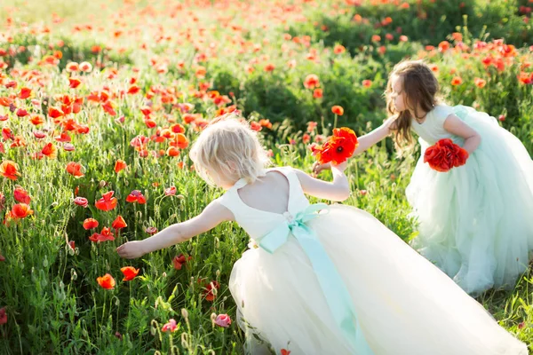 Маленькая девочка модель, детство, мода, летняя концепция - две красивые девушки в белых и синих платьях партии сорвать маковые цветы на поле, в руках каждого букет красивых весенних цветов — стоковое фото