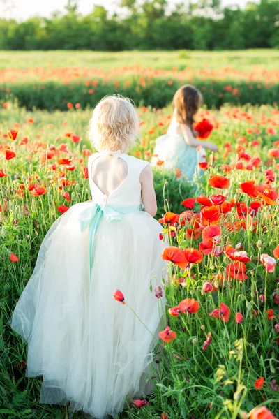 Modelo de niña, la moda y el concepto de la naturaleza dos niñas caminando en vestidos de bola blanca y azul en el fondo de un campo de amapolas, dieron la espalda, uno sosteniendo un ramo de amapola fresca . — Foto de Stock