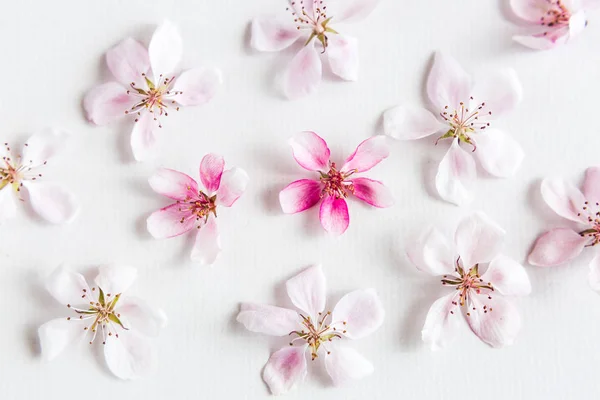Weißer Hintergrund mit rundem Muster von Sakura-Blüten. Konzept von Liebe und Frühling. flach lag. Ansicht von oben. — Stockfoto