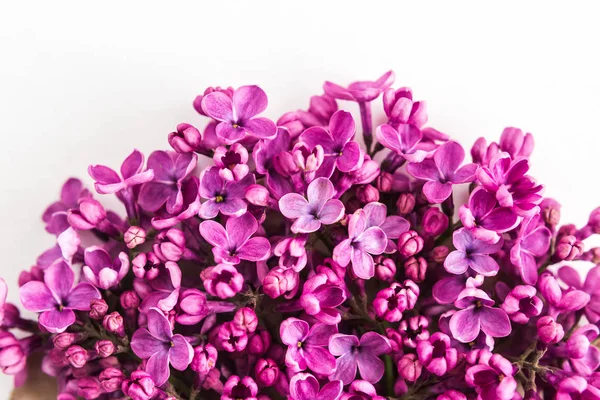 White background half filled with close up beautiful pirple lilac flowers. top view. flat lay. Concept of love, proposal, congratulation and spring. — Stock Photo, Image