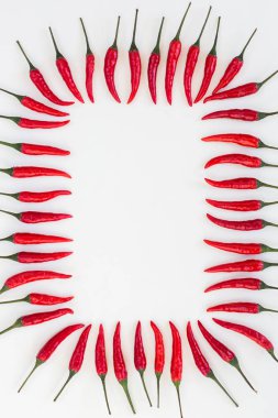 kırmızı sıcak biber, popüler baharatlar kavramı - dekoratif çerçeve metin, üstten görünüm, dikey alan bir sürü ortasında beyaz bir arka plan üzerinde kırmızı acı biber, birden fazla bakla oluşur.