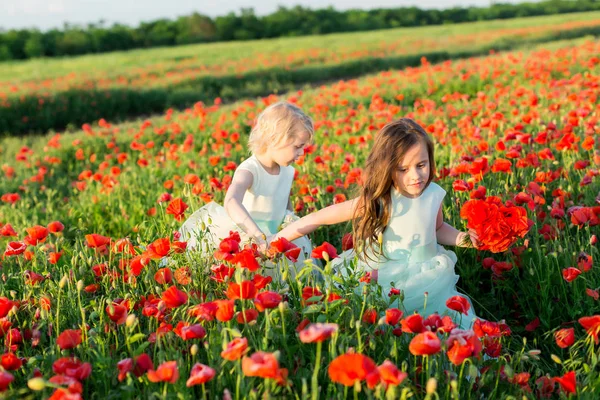 Niña, amapolas, agricultura, producción de alimentos y ecología, concepto de la naturaleza - dos niñas, hermanas en vestidos de fiesta blancos y azules con un ramo de amapola en el cultivo del campo agrícola de amapolas . —  Fotos de Stock