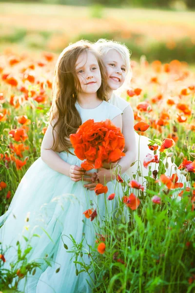 Modelo niña, amapolas, concepto de moda - dos novias jóvenes en un paseo a través de un campo de verano de amapola en vestidos elegantes, uno está sosteniendo un ramo de amapolas, la rubia la abrazó por detrás —  Fotos de Stock