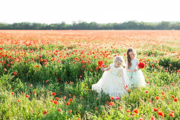 Modelo niña, la infancia, la moda, el concepto de verano - dos novias elegantes en trajes blancos y azules recoger flores de amapola en un campo enorme, en las manos de cada uno un ramo de flores rojas . —  Fotos de Stock