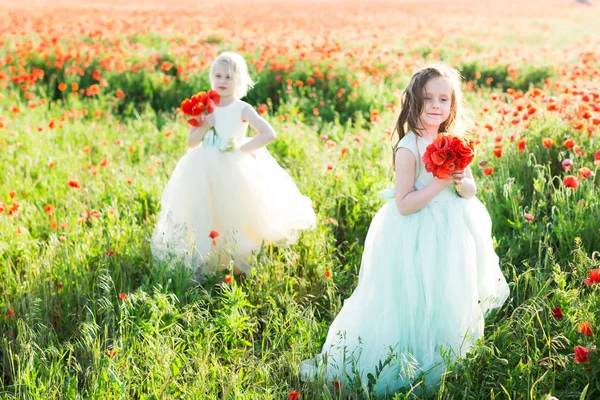 Модель маленькая девочка, концепция моды - две молодые девушки модели, гуляющие в сельской местности, собирающие букеты луговых цветов, в руках свежие маки, одетые в модные белые и синие платья . — стоковое фото