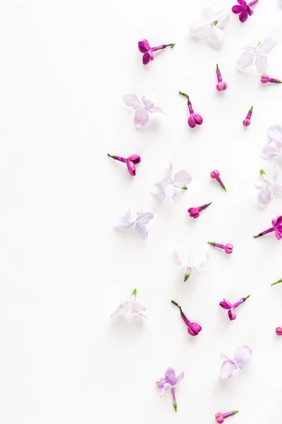 White background on a half filled with lilac flowers. Concept of freshness and beautifulness. Flat lay. Top view. — Stock Photo, Image