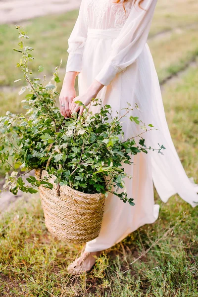 Pessoas, férias e conceito de natureza - jovem mulher em branco segurando grande cesta de ramos verdes para decoração, florista menina no campo de verão reunir ervas para decoração de buquês e interiores — Fotografia de Stock