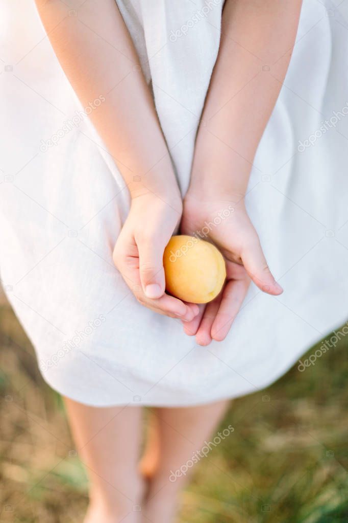 people, food, holiday concept - two hands of a little girl in a white elegant dress holding a ripe juicy yellow apricot on a background of summer grass.