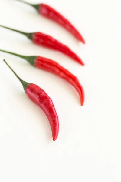 Red hot chili peppers, a népszerű fűszerek koncepció - Közelkép a négy finom lédús tiszta pod vörös hot chili paprika, zöld száron elszigetelt fehér háttér, szelektív összpontosít, szabad hely a szöveg. — Stock Fotó