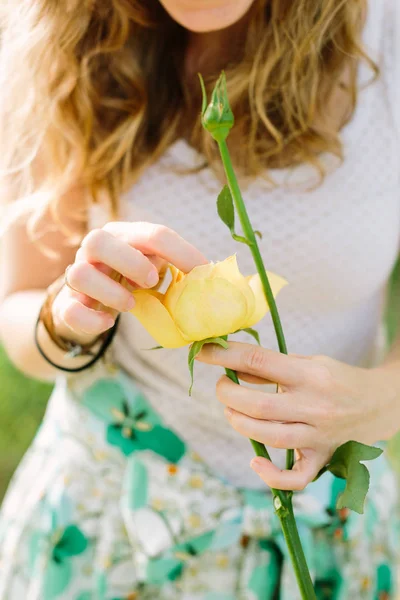Mensen en bloemen regeling concept - close-up jonge vrouw handen met verse gele roos, vingers zachtjes raken de bloemblaadjes van een bud, vrouwelijke met golvende haar in een wit overhemd en kleurrijke rok. — Stockfoto