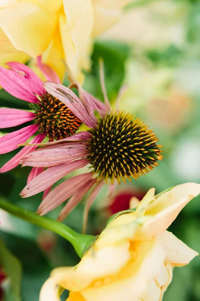 holidays flower, gifts and floral arrangement concept - close-up on a beautiful bright summer flowers, delicate yellow roses and fantastic purple daisy buds with stamens on blurred green background.