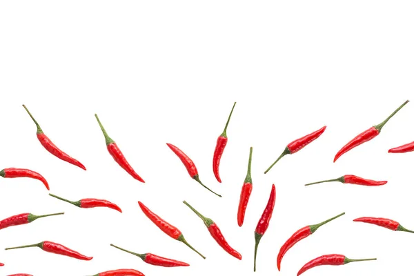 Chiles rojos picantes, concepto de especias populares - primer plano en el patrón decorativo de chile rojo picante con colas verdes sobre fondo blanco, hermoso collage de pimientos libremente acostados, vista superior, puesta plana . — Foto de Stock