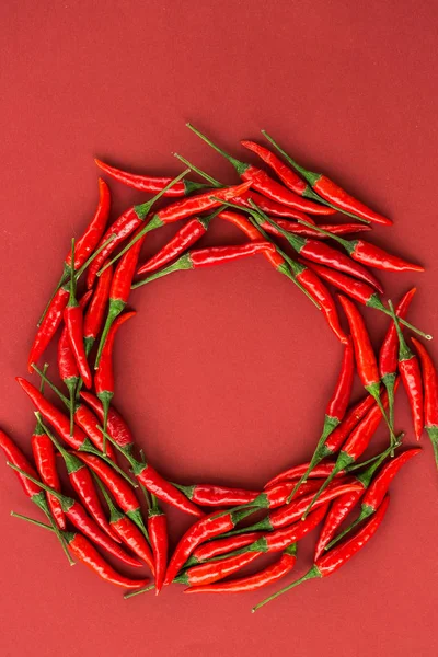 red hot chili peppers, popular spices concept - red hot chili peppers pods in beautiful circle composition of a colorful area on red background, top view, flat lay, free space for text, vertical.