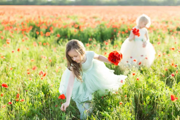 Modelo niña, la infancia, la moda, el concepto de verano - paseo por el campo en el prado de flores dos fabulosas princesas niñas en las manos amapolas frescas, que están vestidos con hermosos vestidos blancos y azules . — Foto de Stock