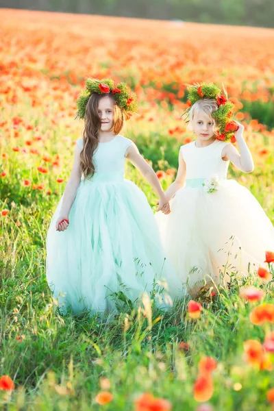 friendship, family, relationships, freedom concept - the elder girl with beautiful flowing hair and floral wreath on head leading her cousin in white dress by her hand in the poppy field