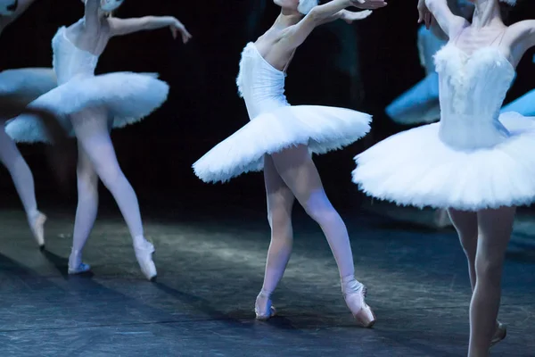 Cultura, tradición, concepto de coreografía. Sylph como, delgada y elegante, bailarinas de ballet encantadoras vestidas con maravillosos trajes decorados con plumas blancas — Foto de Stock