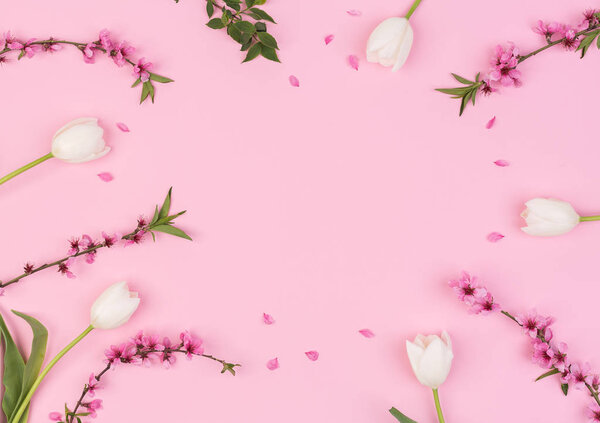 women day, congratulation, femininity concept. top view of adorable flowers, creamy white tulips, and blooming brunches of cherrytree, with free bright pink space for text