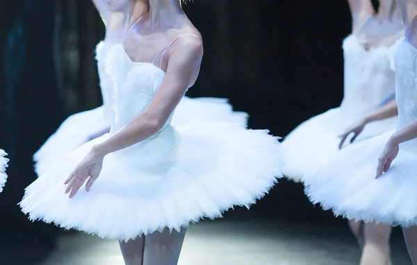 Schoonheid, ballet, anatomie concept. delicate lijnen van sillouette van ballerina's, gekleed in kostuums van schitterende zwanen, zijn in contrast met de donkere achtergrond van de vleugels — Stockfoto