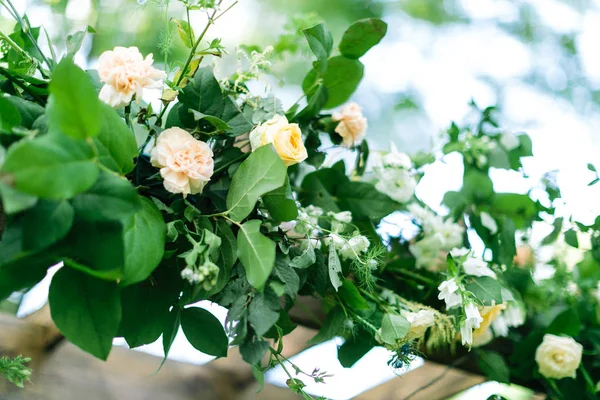 Plantkunde, harmonie, begrip aanplant. mix van verschillende bloemen en bladeren van verschillende siergewassen. Er zijn prachtige ballet roze anjers, fijne gele rozen en witte bloempjes — Stockfoto