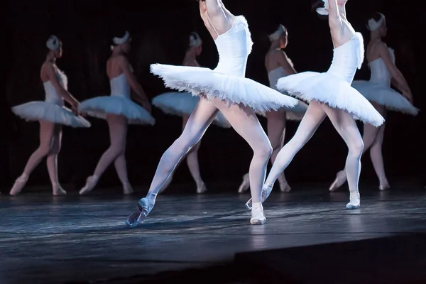 娱乐、 激情、 审美观念。幸运和温柔的女孩，芭蕾舞演员，身着白色服饰的美丽的天鹅，为执行世界著名芭蕾舞剧天鹅湖 — 图库照片