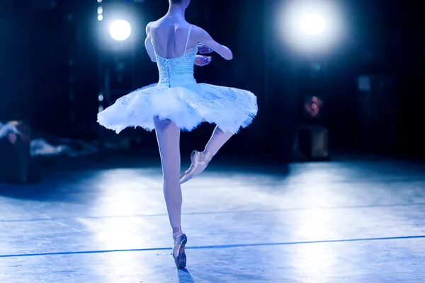 Glory, dream, choreography concept. slender silhouette of female ballet dancer in the stage lights wearing beautiful tutu turning around like statuette in music box — Stock Photo, Image